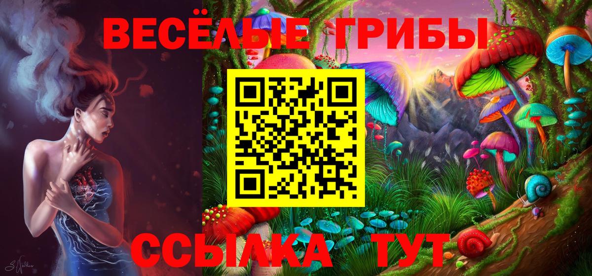 Псилоцибиновые грибы мицелий  Вход с VPN  Арсеньев 